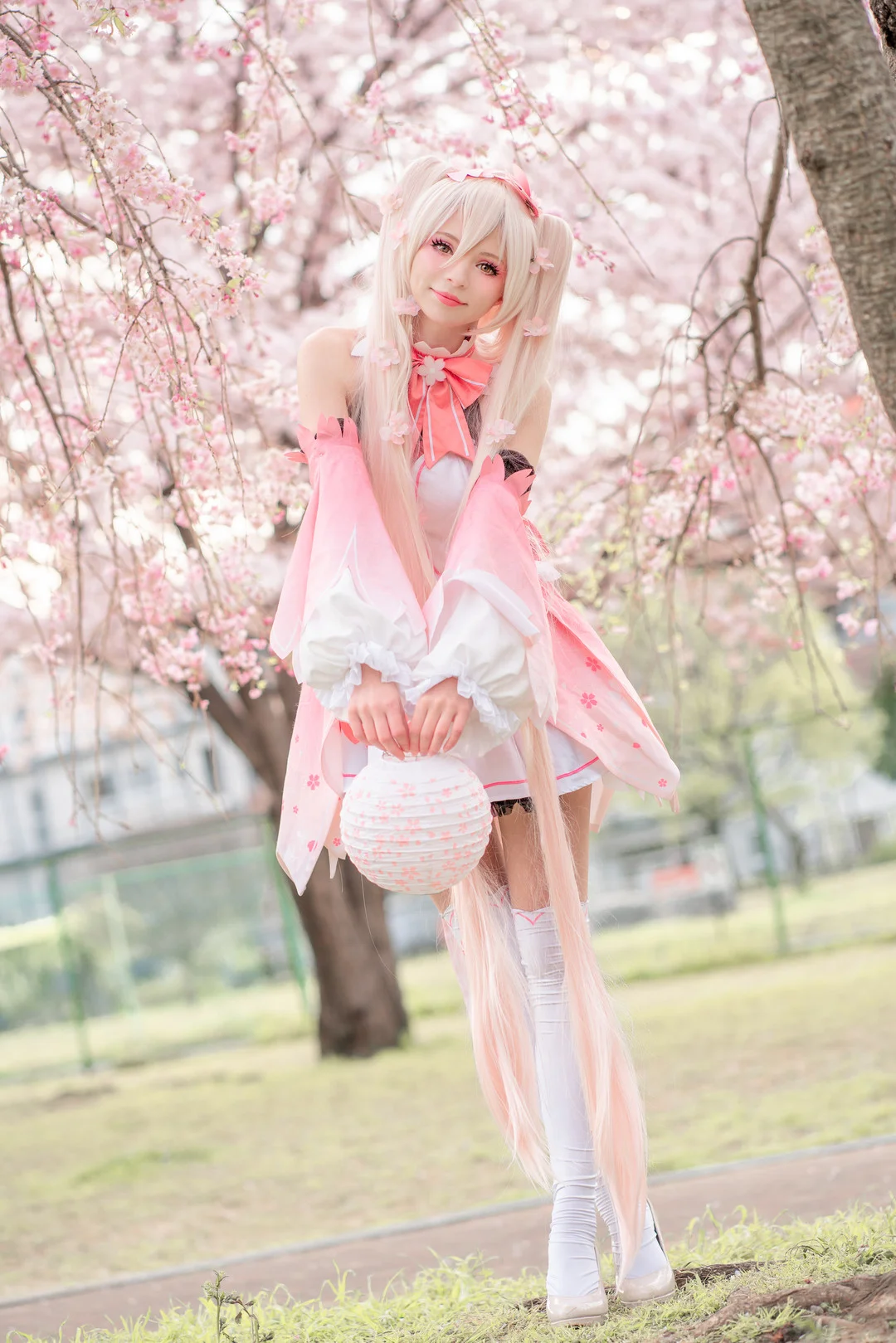Peachmilky写真图片(4)
